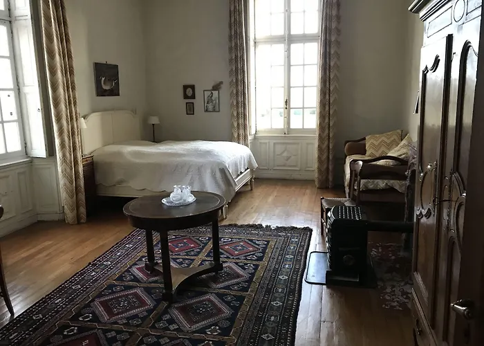Chateau De - D'hotes * Joyeux